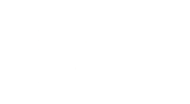 SBT white logo
